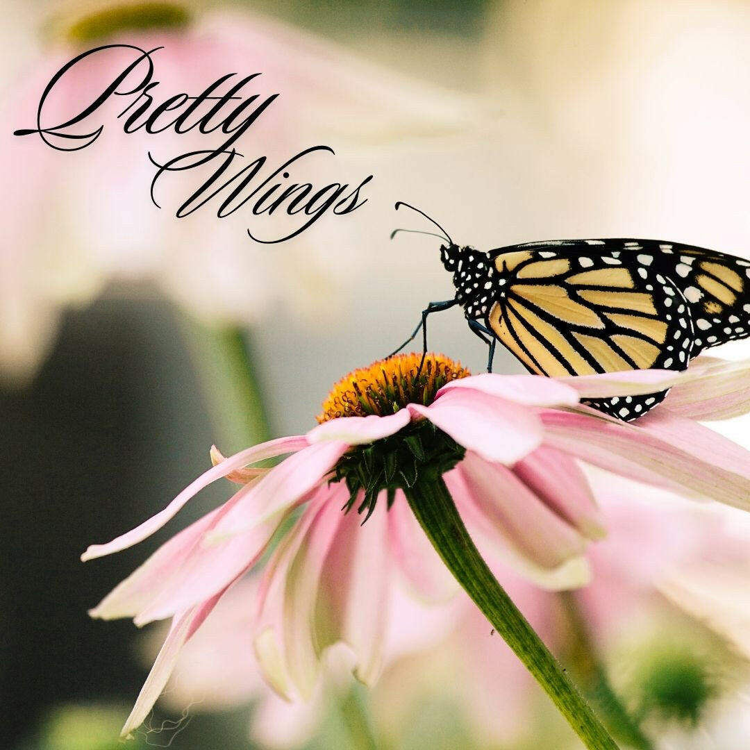 Clipped Wings Ebook - Ms Candi Girl. LLC