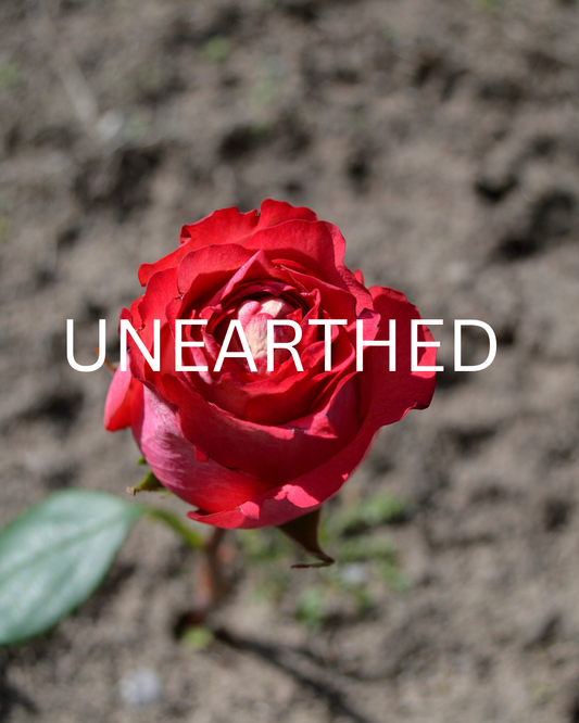 UNEARTHED poetry and prose blog post graphic by Candi Usher