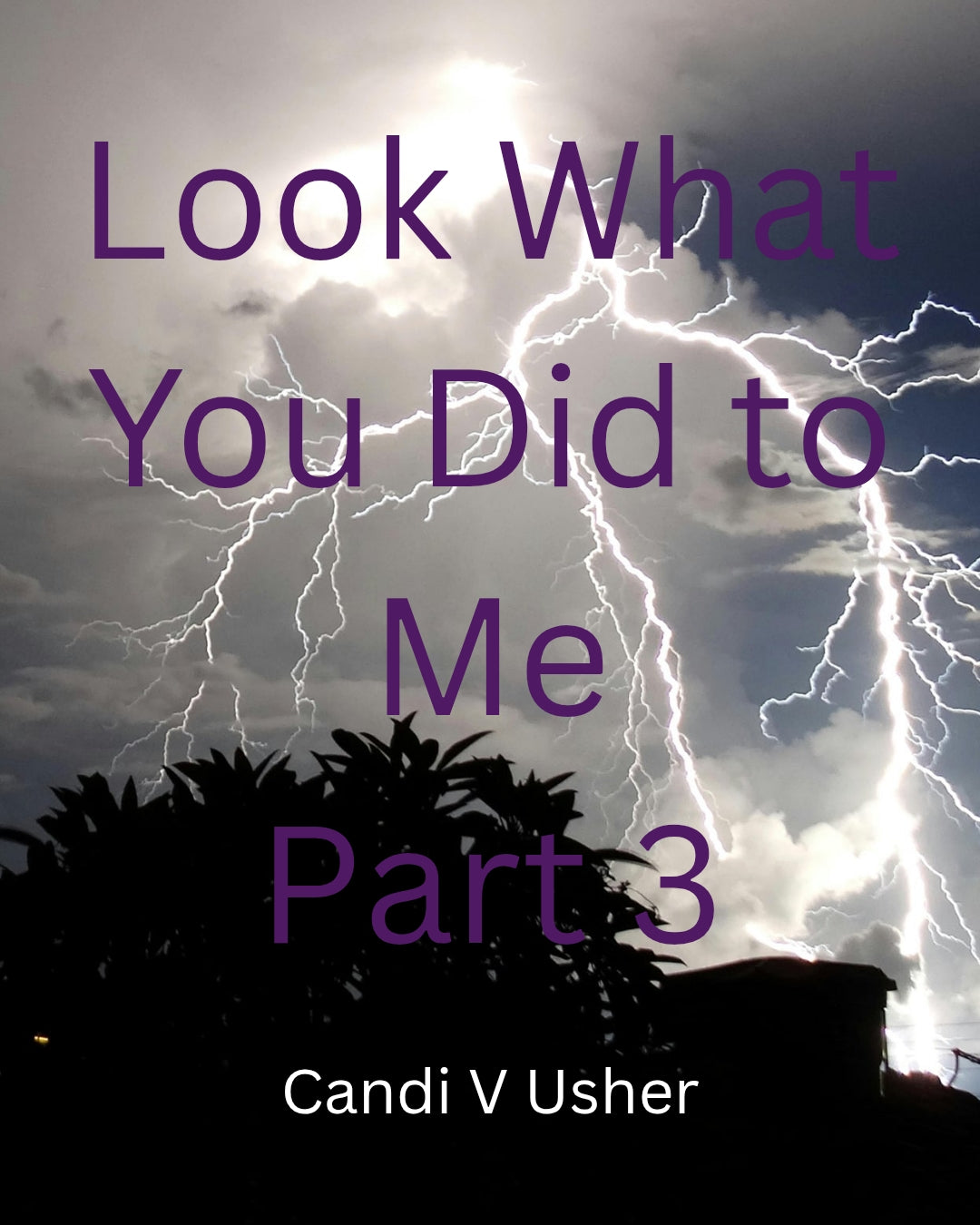 Look What You Did to Me Part Three