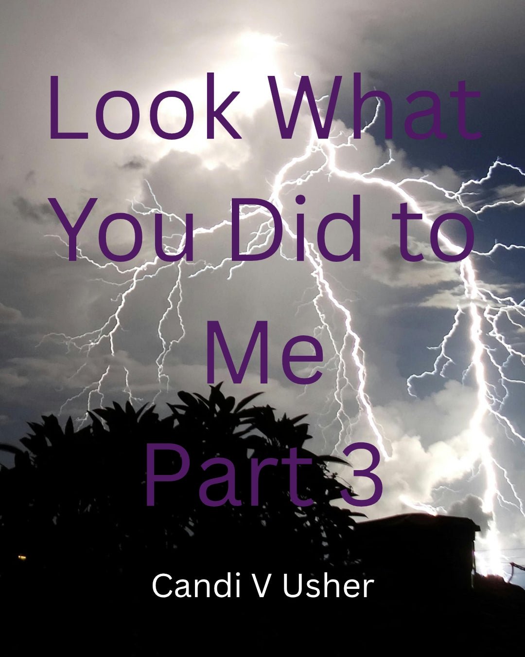 Look What You Did to Me Part Three - Ms Candi Girl LLC