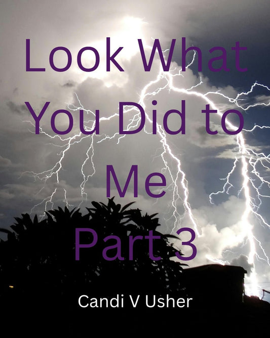 Look What You Did to Me Part Three - Ms Candi Girl LLC