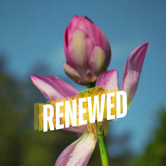 Renewed - Ms Candi Girl LLC