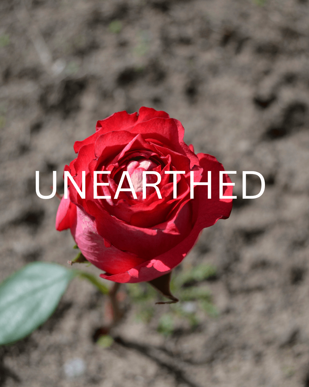 UNEARTHED - Ms Candi Girl LLC
