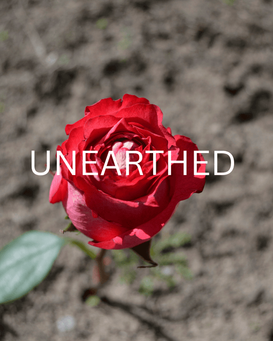 UNEARTHED - Ms Candi Girl LLC