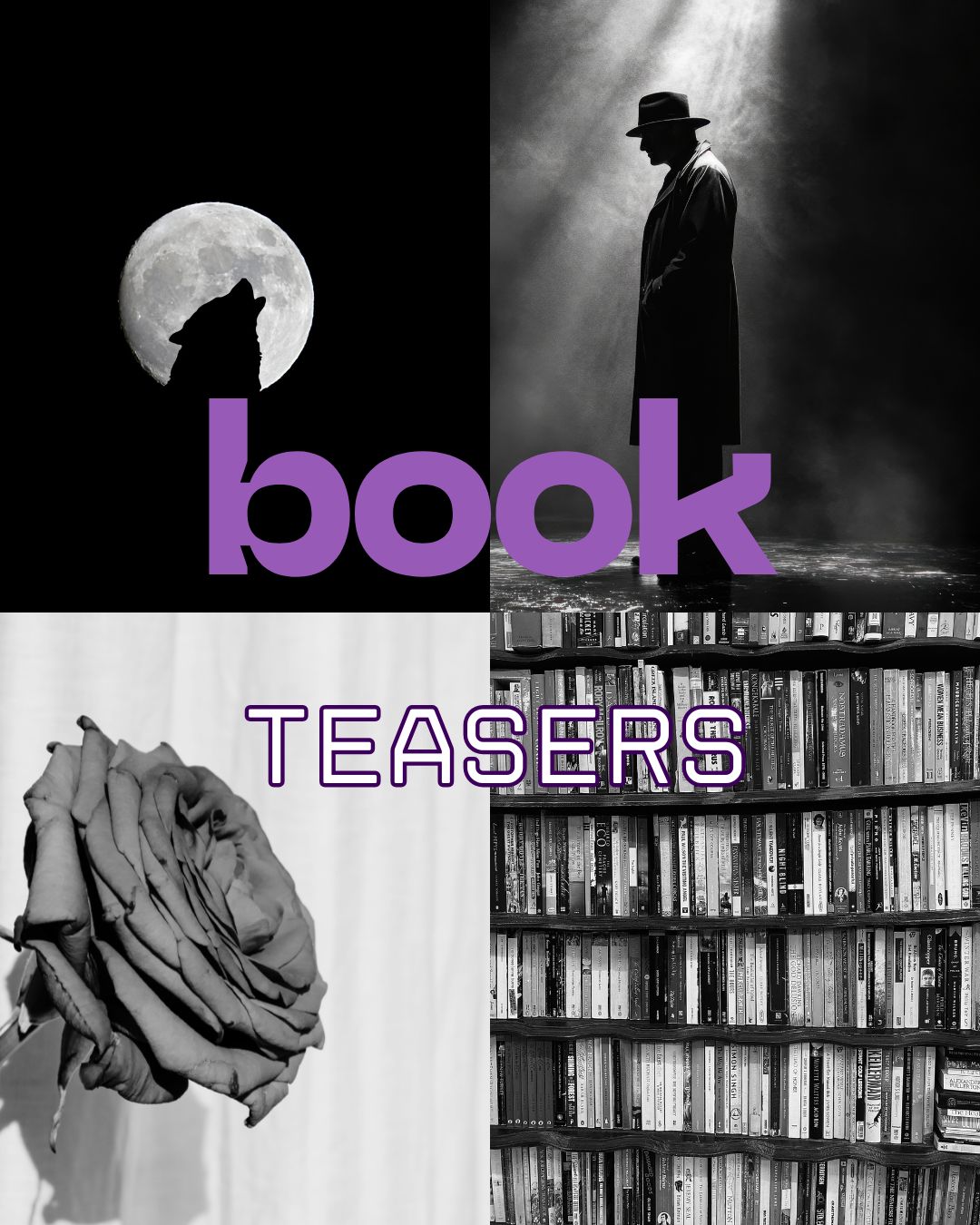 Book Teasers