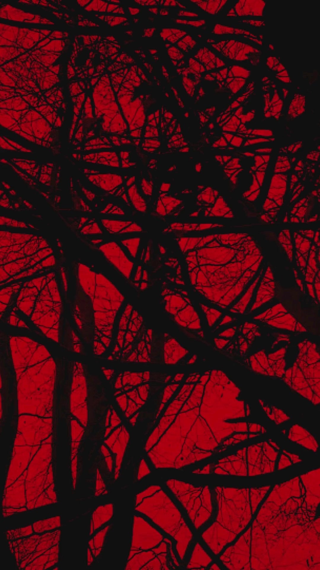 Locced and Loaded Ladies: Daleigh Ebook