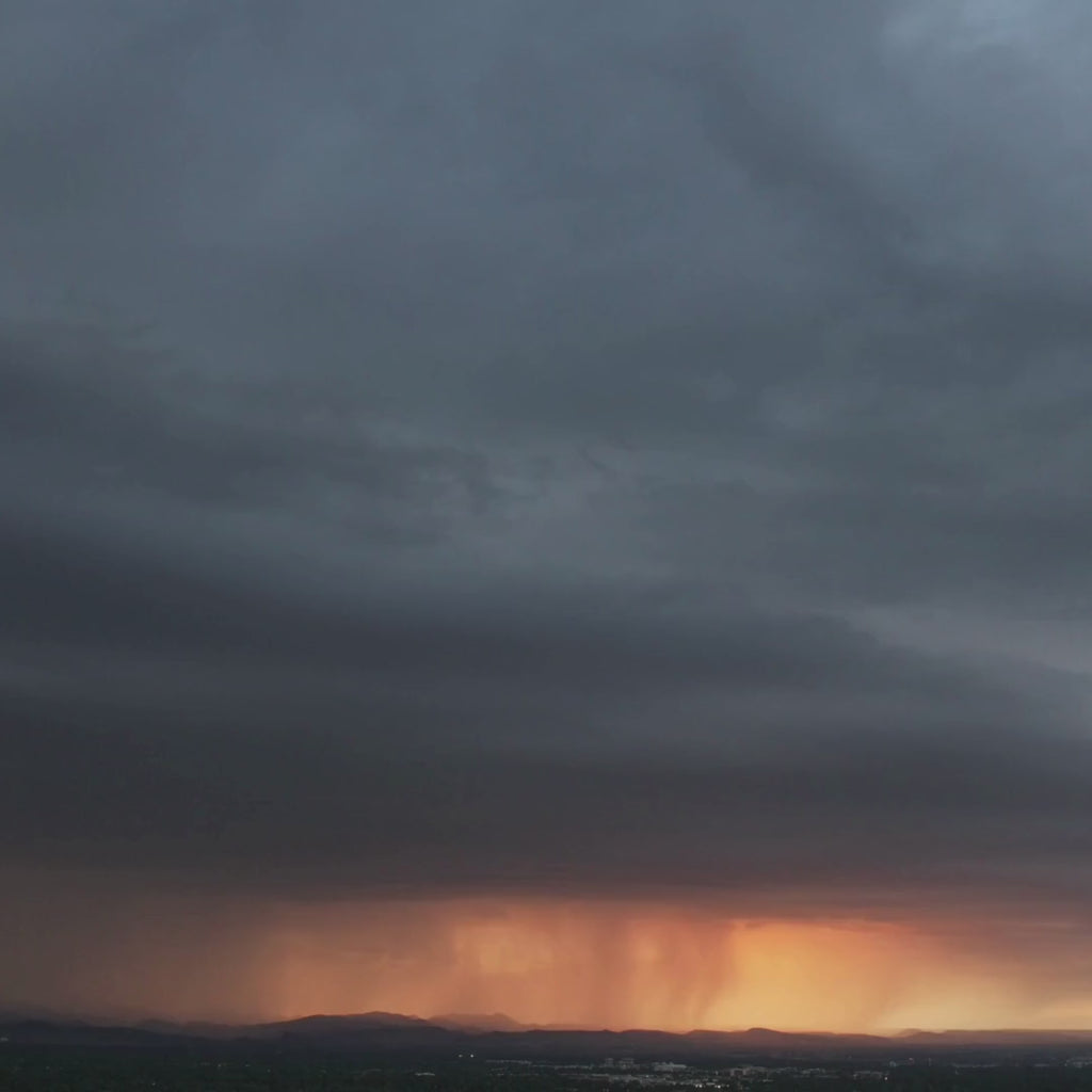 Locced and Loaded Ladies: Daleigh Ebook