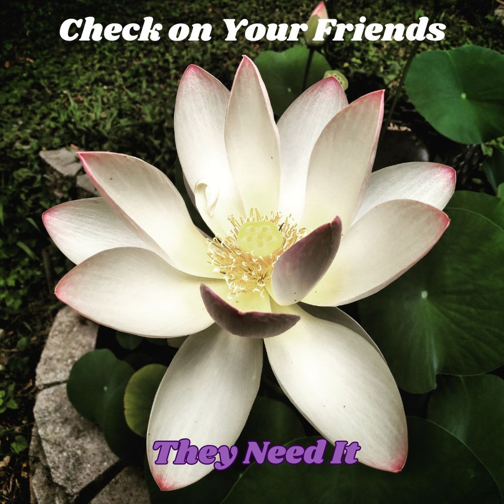 The Silent Scream Paperback - Ms Candi Girl. LLC